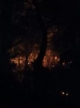 MUĞLA ORMAN BÖLGE MÜDÜRÜ - Marmaris'te Orman Yangını