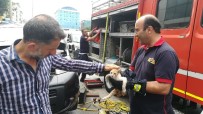YAVRU KEDİ - Araç Motoruna Sıkışan Yavru Kedi 3 Saatte Kurtarıldı