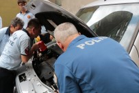 YAVRU KEDİ - Aracın Motor Kısmına Sıkışan Kedi İçin Polis Ve İtfaiye Seferber Oldu