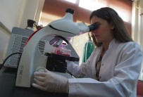 REKTÖR BUDAK - Egeli Bilim İnsanları Kolesterolü Düşürmek İçin Bir İlke İmza Attı