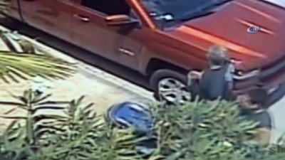 Köpekbalığı Bebek Kılığında Kaçırıldı