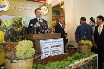 MUSTAFA HAKAN GÜVENÇER - Bakan Pakdemirli, Üzüm Rekoltesini Açıkladı