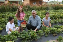 Başkan Çelik'ten Doğal Çağrı