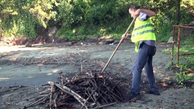 Denize Sürüklenen Odun Ve Fındıklar Toplanıyor