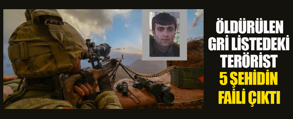 Öldürülen gri listedeki terörist 5 şehidin faili çıktı