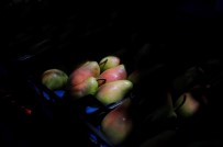 MEHMET MAKAS - Gürsu'da Armut Festivali Coşkusu