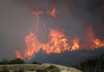 BROWN - Kaliforniya'da Olağanüstü Hal İlan Edildi