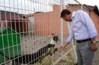 KARATEKIN ÜNIVERSITESI - Rektör Ayrancı'dan Örnek Uygulama