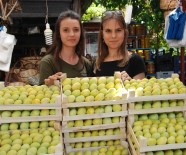 KARGıCAK - Silifke'de İncir, Üreticisinin Yüzünü Güldürüyor