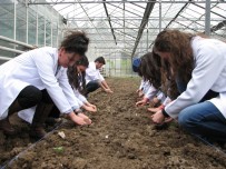 ORGANIK TARıM - Ziraat Mühendisleri, Tarlada Ve Çiftlikte Mesleği Öğreniyor