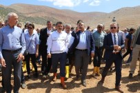 KEMAL ÇELIK - Bakan Pakdemirli Açıklaması 'Ordu'da Ve Antalya'da Üreticinin Zararı Devlet Tarafından Karşılanacak'