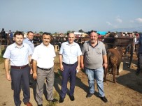 KURBANLIK HAYVAN - Bildirmeyene Cezai İşlem Uygulanacak