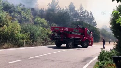 GÜNCELLEME - Bursa'da Orman Yangını