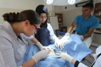 Stajyer Öğrenciler İlk Defa Ameliyat Heyecanı Yaşadı