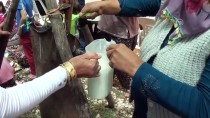 YAYLA ŞENLİKLERİ - Çimi Yaylası'nda Şenlik Düzenlendi