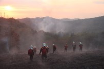 Kırım'da Başlayan Orman Yangını Söndürülemiyor