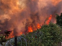İZZETTIN KÜÇÜK - Orman yangınının nedeni belli oldu!