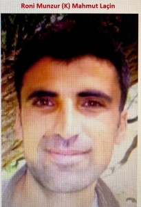 PKK'nın 'Panzer Kemal'in Yerine Geçirdiği O Terörist De Öldürüldü