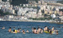 ZEYTİNBAĞI - Bursa Sahillerinden Sevindirici Haber