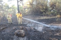Çanakkale'de Orman Yangını Kontrol Altında