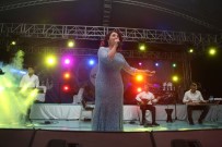 İBRAHIM AYDEMIR - Çermik Festivaliyle Coştular