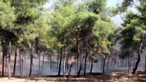 MEHMET KARAKAYA - Hatay'da Mesire Alanında Yangın