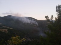Hatay'da Orman Yangını