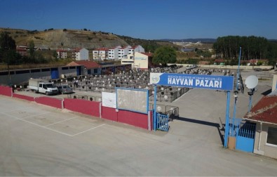 Hayvan Pazarında Hazırlıklar Tamamlandı