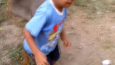 Kahramanmaraş'ta Küçük Çocukla Köpeğin Oyunu
