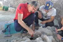 ANTROPOLOJI - NEVÜ Rektörü Bağlı, Fosil Lokalitesi Kazısını Ziyaret Etti