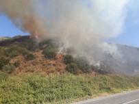 Söke'de Arazi Yangını