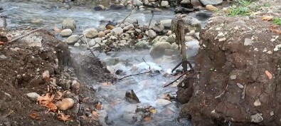 Başiskele'de Bulunan Şifalı Kaplıca Suyu, Yabancı Yatırımcıların İştahını Kabarttı