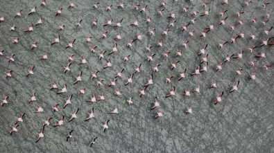 Burdur'un Yarışlı Gölü, 141 Tür Kuş Türüne Ev Sahipli Yapıyor