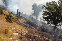 KURUDERE - Çelikhan'da Yangın