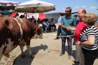 YAVUZ SULTAN SELİM CAMİİ - Efeler'de Kurban Kesim Yerleri Belirlendi