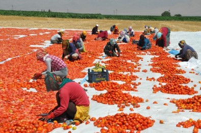 (Özel) Derik'ten İtalya'ya Uzanan Lezzet