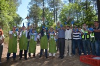 KÖKSAL ŞAKALAR - Sinop'ta 2 Bin Sülün Doğaya Salındı