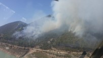 OKURCALAR - Alanya'da Orman Yangını (1)