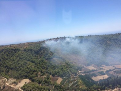 Alanya'daki Orman Yangını Kontrol Altına Alındı