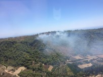 OKURCALAR - Alanya'daki Orman Yangını Kontrol Altına Alındı