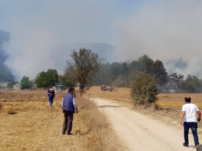 Bolu'da Orman Yangını