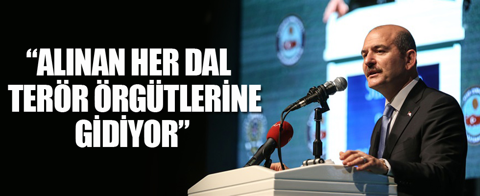 Bakan Soylu: Alınan her dal terör örgütlerine gidiyor