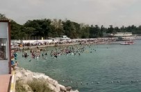 RAUF ORBAY - Halk Plajında Ağaç Devrildi Açıklaması 3 Yaralı