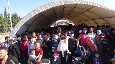 Giden Suriyelilerin sayısı 31 bine ulaştı