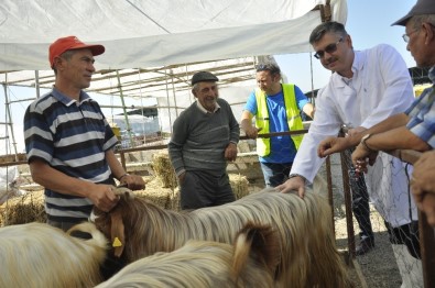 Eskişehir'de Hayvan Pazarı Ve Kurban Kesim Yerlerinde Kontrol Noktaları Oluşturuldu