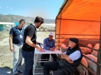 KARIN AĞRISI - Kist Hidatik Hastalığına Dikkat