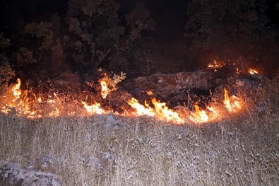 Midyat'ta Korkutan Orman Yangını