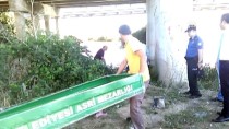 Samsun'da Nehir Kenarında Erkek Cesedi Bulundu
