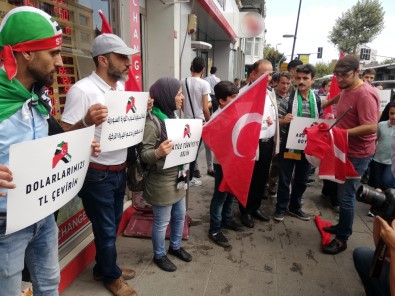 Türkiye'ye Destek İçin Dolar Yaktılar