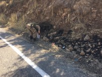 BEYTÜŞŞEBAP - Beytüşşebap'ta Orman Yangını